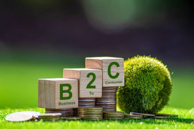 Doğanın arka planında tahta küp üzerine B2C metni. İş tüketici kavramına.