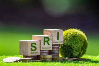 SRI Toplumsal Sorumlu Yatırım, sosyal ve çevresel hedeflere yönelik her türlü yatırım stratejisidir..