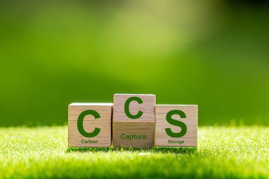 Çevresel arkaplandaki tahta küpteki Karbon Yakalama Depolama Kelimeleri için CCS sembolü. Sıfır aksiyon konsepti. Yeşil enerji, karbon ayak izini azalt, enerjiyi sakla, karbondioksit.