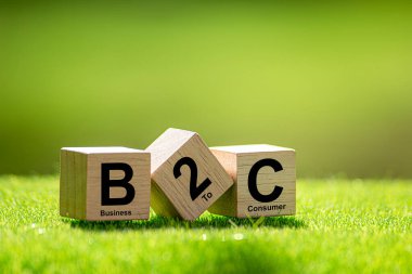 Doğanın arka planında tahta küp üzerine B2C metni. İş tüketici kavramına.