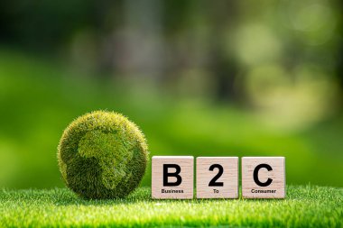 Doğanın arka planında tahta küp üzerine B2C metni. İş tüketici kavramına.