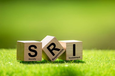 SRI Toplumsal Sorumlu Yatırım, sosyal ve çevresel hedeflere yönelik her türlü yatırım stratejisidir..