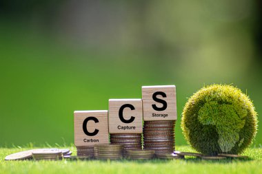 Çevresel arkaplandaki tahta küpteki Karbon Yakalama Depolama Kelimeleri için CCS sembolü. Sıfır aksiyon konsepti. Yeşil enerji, karbon ayak izini azalt, enerjiyi sakla, karbondioksit.