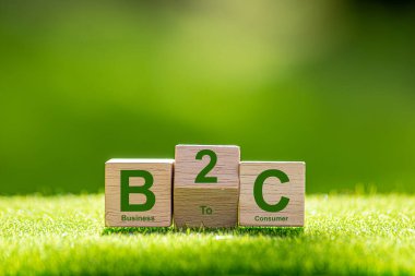 Doğanın arka planında tahta küp üzerine B2C metni. İş tüketici kavramına.