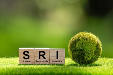 SRI Toplumsal Sorumlu Yatırım, sosyal ve çevresel hedeflere yönelik her türlü yatırım stratejisidir..