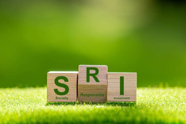 SRI Toplumsal Sorumlu Yatırım, sosyal ve çevresel hedeflere yönelik her türlü yatırım stratejisidir..