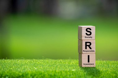 SRI Toplumsal Sorumlu Yatırım, sosyal ve çevresel hedeflere yönelik her türlü yatırım stratejisidir..