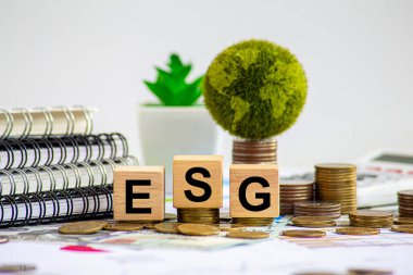 Çevre, sosyal ve idari yatırım ilkeleri çevresel, sosyal ve kurumsal yönetim konularına öncelik veren, ESG değerlendirmelerine yatırım yapan