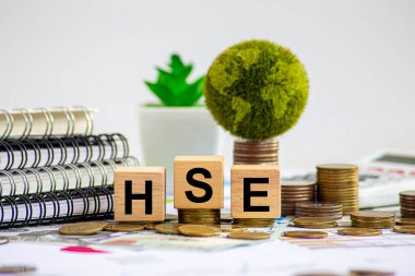 HSE Çevre, Sağlık ve Güvenlik, çevre koruma ve insan sağlığı ve güvenliğinin korunması çalışmalarına ve uygulanmasına odaklanan disiplinlerarası bir alandır..