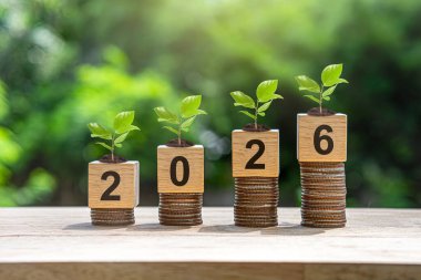 Finansal paralar 2026 yılının tahta küpleriyle dolu doğal bir arka planda. Domuz kumbarası. Yeni Yıl 2026 mali ve tasarruf ile ilgilidir..