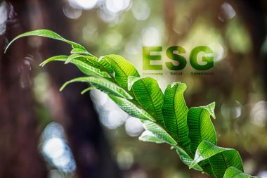 ESG Fonu Yeşil Arkaplan ESG Sosyal ve Çevre Yönetimi Yatırım Şirketi Çevresel Bilinç Karbon Kredilerine Yatırım