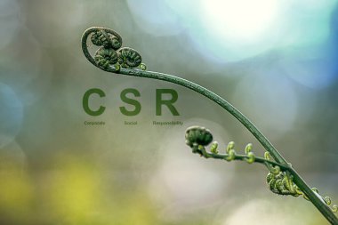 Ahşap blokta yeşil CSR ikonu olan kurumsal Sosyal Sorumluluk (CSR). Kurumsal Sosyal Sorumluluk, Sürdürülebilirlik veya Sürdürülebilir Kalkınma kavramı.