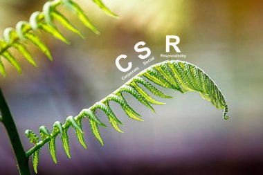 Ahşap blokta yeşil CSR ikonu olan kurumsal Sosyal Sorumluluk (CSR). Kurumsal Sosyal Sorumluluk, Sürdürülebilirlik veya Sürdürülebilir Kalkınma kavramı.