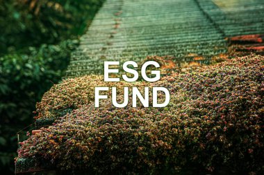 ESG Fonu, yatırımcılara yatırım miktarını kişisel gelir vergisinden düşürmek için özel ayrıcalıklar sağlayan sürdürülebilir bir yatırım fonu.