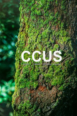 CCUS, endüstriyel süreçlerin bir sonucu olarak atmosferde ve okyanuslarda mevcut olan CO2 'yi yakalamakla ilgilenen, hem yerleşik hem de yenilikçi çeşitli teknolojilerin bir işbirliğidir..