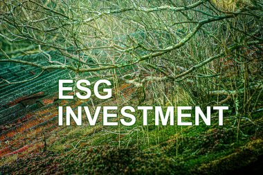 ESG yatırımı, bir şirketin uzun vadede ayakta kalması ve sürdürülebilir büyümesiyle doğrudan ilişkili bir yatırımdır..