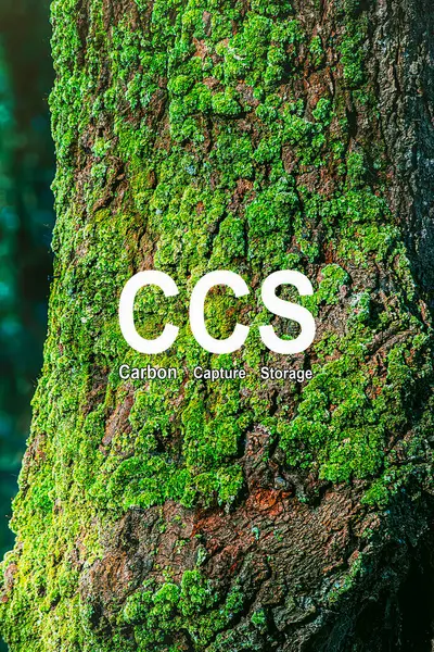 Karbondioksit ya da karbondioksit, büyük miktarlarda solunduğunda ağızda ekşi bir tat, burun ve boğazda tahrişe neden olan renksiz bir gazdır.