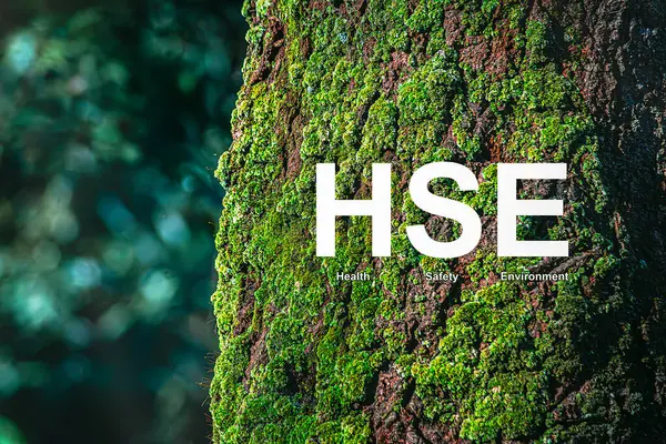 Çevre, sağlık ve güvenlik, çevre koruma ve özellikle mesleki bağlamlarda olmak üzere insan sağlığı ve güvenliğinin araştırılması ve uygulanmasına odaklanmış disiplinlerarası bir alandır..