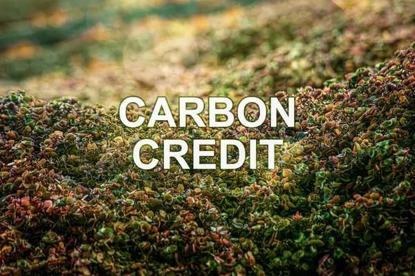 Karbon kredileri, çevreye karbondioksit veya sera gazı emisyonlarının azaltılmasından kaynaklanan haklara işaret etmektedir..