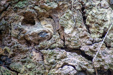 Yüksek çözünürlüklü yüzey yıpranmış beton duvar malzeme kökenden kadar kapatın