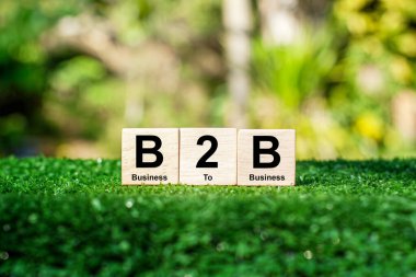 B2B işletmecilikten iş modeline, bir organizasyonun diğerine mal veya hizmet sattığı bir iş modeline atıfta bulunur. Diğer bir deyişle, tüketici alım-satımına doğrudan bir iş değil, iş-ticaret alışverişi..
