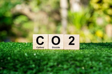 Karbondioksit ya da karbondioksit, yaşam ve çevre için gerekli bir gazdır. Bitki fotosentezinde anahtar rol oynayan renksiz, kokusuz bir gazdır ve Dünya 'nın iklimini etkileyen bir sera gazıdır..