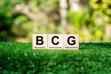 BCG 