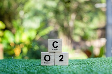 Karbondioksit ya da karbondioksit, yaşam ve çevre için gerekli bir gazdır. Bitki fotosentezinde anahtar rol oynayan renksiz, kokusuz bir gazdır ve Dünya 'nın iklimini etkileyen bir sera gazıdır..