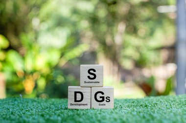 SDG 'ler veya Sürdürülebilir Kalkınma Hedefleri, Birleşmiş Milletler tarafından 2030 yılına kadar ekonomik, sosyal ve çevresel boyutları kapsayan sürdürülebilir küresel kalkınmaya rehberlik etmek amacıyla belirlenmiş 17 hedeften oluşan bir dizi..