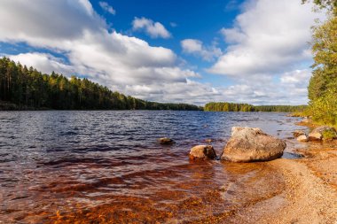 İskandinavya 'daki güzel orman gölü berrak su, kayalık kıyı ve mavi gökyüzü ve bulutların altında sonbahar renkleriyle. Seyahat için ideal doğa manzarası, eko turizm, açık hava macerası ve vahşi doğa projeleri