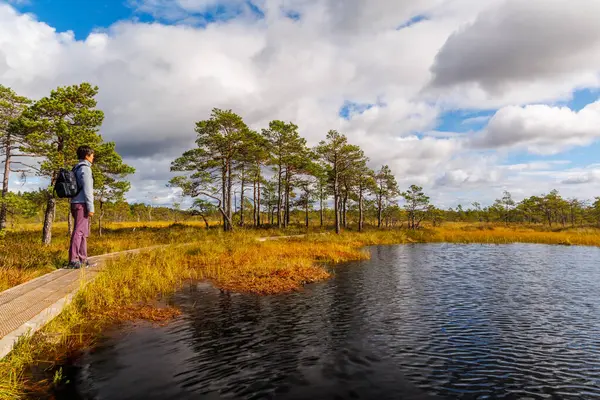 İskandinav Gölü 'nün kıyısındaki tahta kaldırımda, bulutlu gökyüzünün altında doğa ve yalnızlığın, yürüyüş ve açık hava macerasının tadını çıkaran kadın yürüyüşçü.