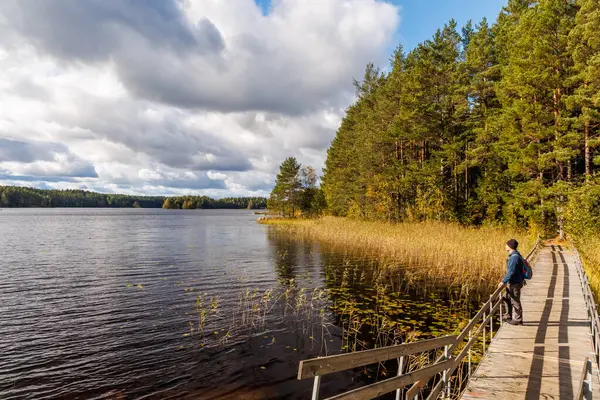 Çam ormanlarıyla çevrili sakin bir gölün kıyısında, tahta köprüde duran yürüyüşçü bulutlu sonbahar gökyüzü altında, yürüyüş, yalnızlık ve açık hava keşfi için ideal İskandinav doğa sahnesi.