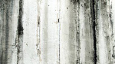 Beton duvarda siyah yosun var ve güneş ışığı üzerine vuruyor..