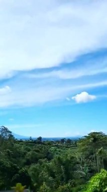 Parlak mavi bir gökyüzünün altındaki yemyeşil bitki örtüsünün huzurlu manzarası, uzak ufukta uzanan yumuşak bulutlar. Bu video, doğanın özgürce büyüdüğü ve gökyüzünün sıcak bir vaatte bulunduğu el değmemiş bir yamacın doğal ve sakin güzelliğini yansıtıyor.