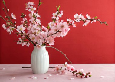 A photo featuring a still life composition with a white vase and a bouquet of pink cherry blossom flowers on a table against a red background. The vase is white and stands upright, with the cherry blossoms sprouting from it, extending outward with de clipart