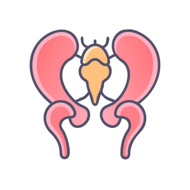 Modern Acetabulum Anatomy Icon clipart