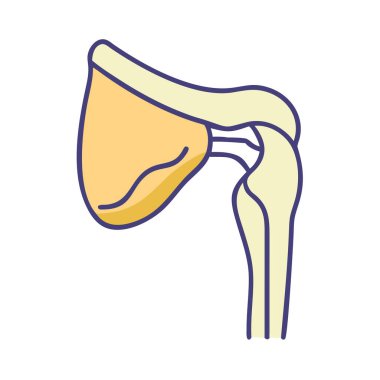 Distinct Acromion Anatomy Icon clipart