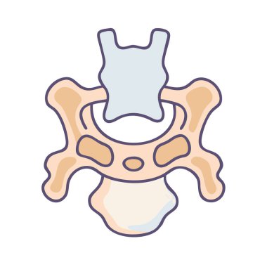 Creative Axis C2 Vertebra Anatomy Icon clipart