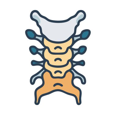 Eşsiz Servikal Omurga Anatomisi Simgesi