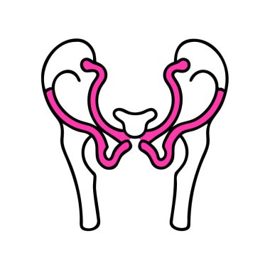 Femoral Baş Anatomi Simgesi