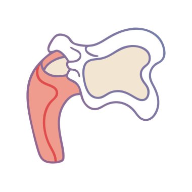 Greater Tubercle Anatomy Icon Design clipart