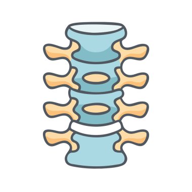 Belkemiği Omurgası Anatomi Simgesi