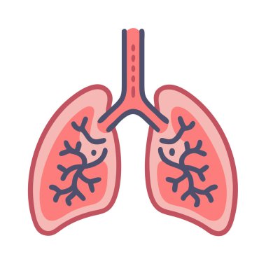 Modern Lung Anatomi Simgesi