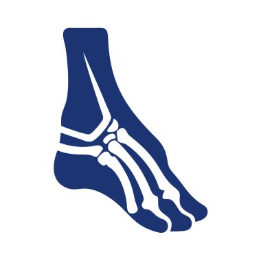 Yaratıcı Navicular Kemik Anatomisi Simgesi