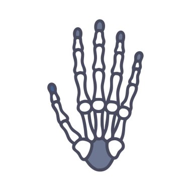 Phalanges Bone Anatomy Icon