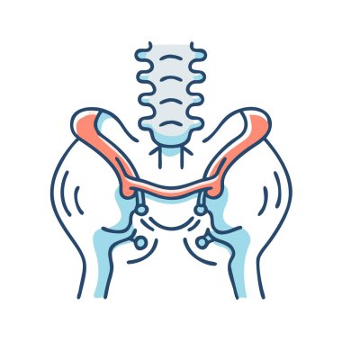 Yaratıcı Sacroiliac Eklem Anatomisi Simgesi