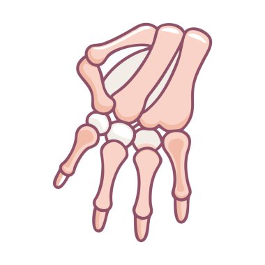 Scaphoid Bone Anatomy Icon Design clipart