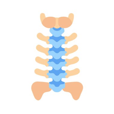 Modern Torasik Omurga Anatomi Simgesi