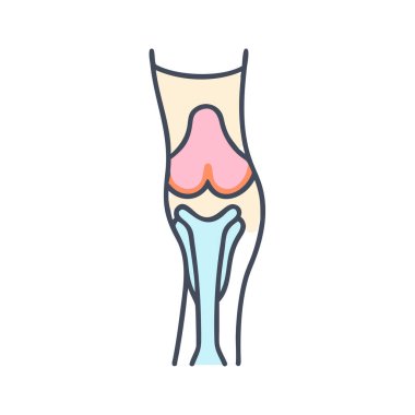 Tibial Plato Anatomi Simgesi