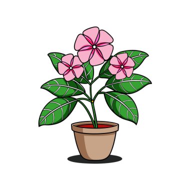 Chic Catharanthus Roseus Houseplant Art clipart